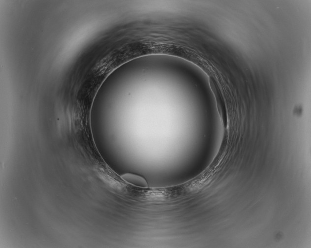 X0000096390574200801241305
