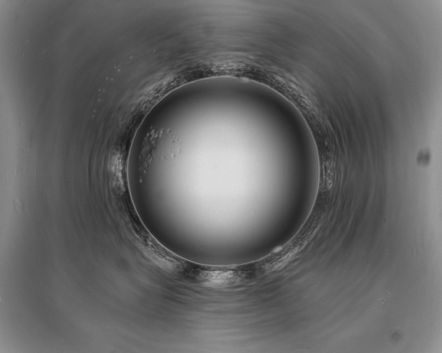 X0000096390575200801241305