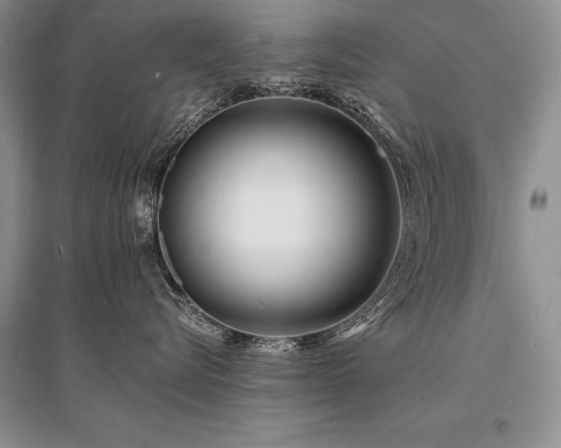 X0000096390576200801241305