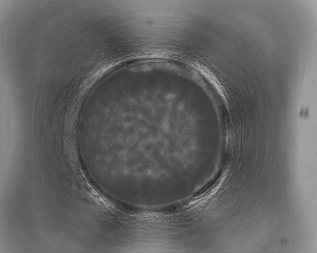 X0000096390577200801241304