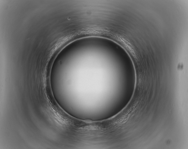 X0000096390578200801241304