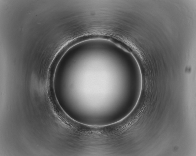 X0000096390580200801241304