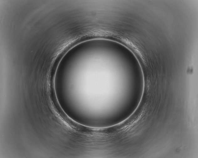 X0000096390581200801241304