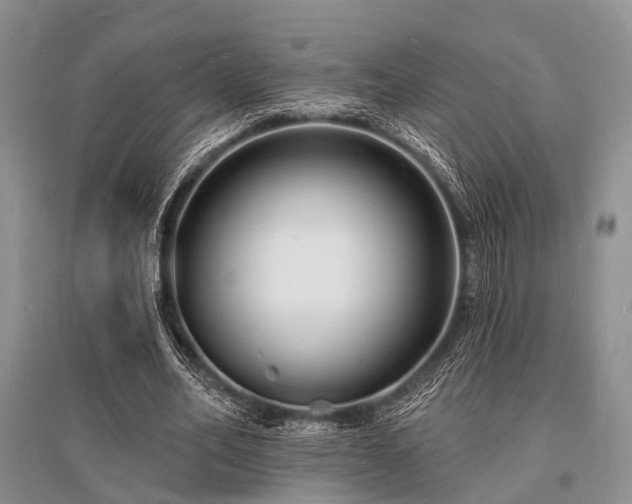 X0000096390582200801241304