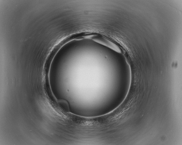 X0000096390584200801241304
