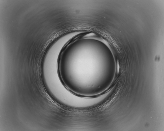 X0000096390585200801241304