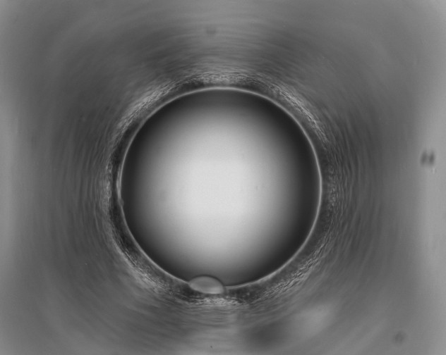 X0000096390586200801241304