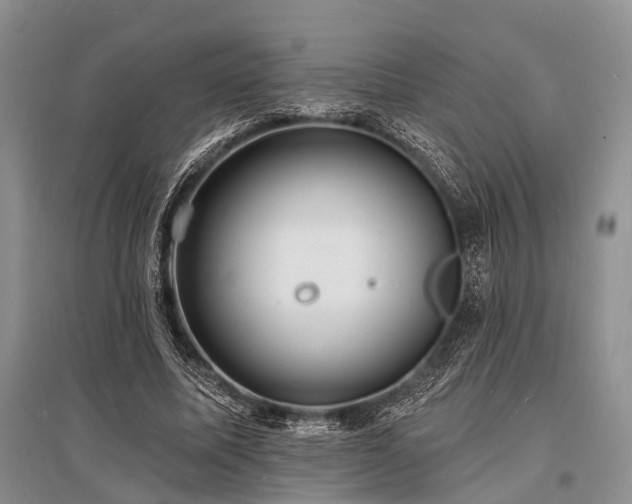 X0000096390587200801241304