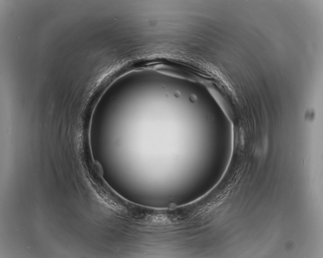 X0000096390588200801241304