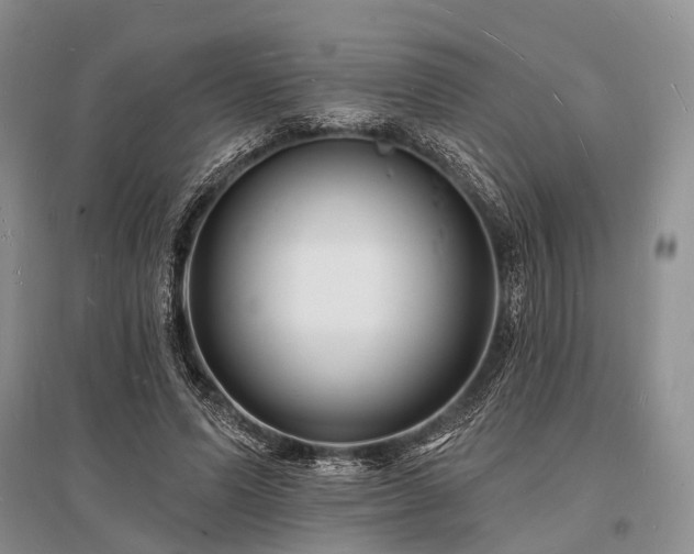 X0000096390591200801241304