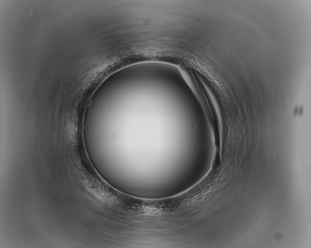 X0000096390592200801241304