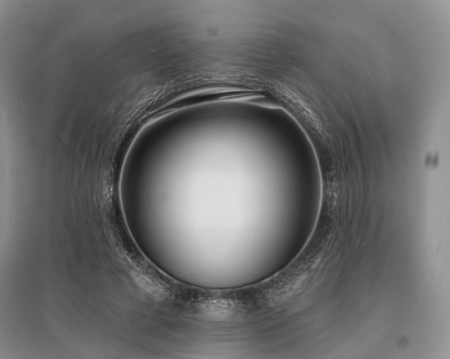 X0000096390593200801241304