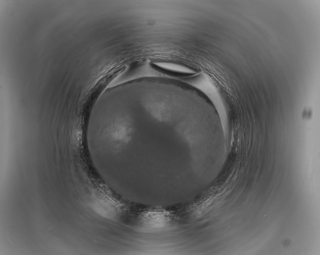 X0000096390595200801241304