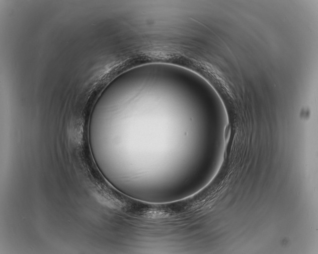 X0000096390596200801241304