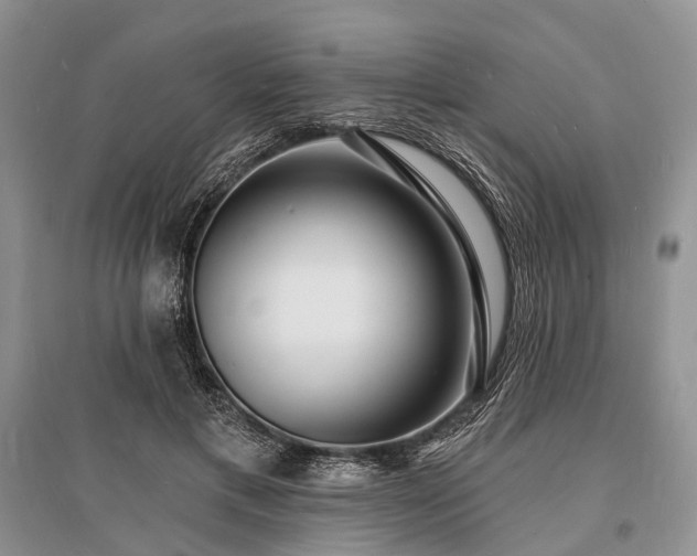 X0000096390597200801241304