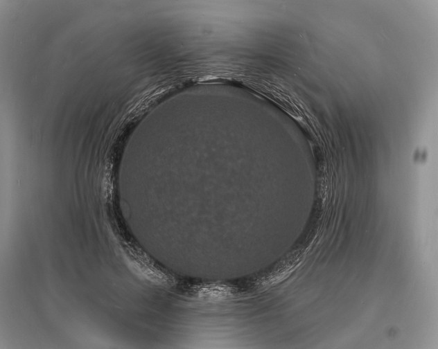 X0000096390599200801241304