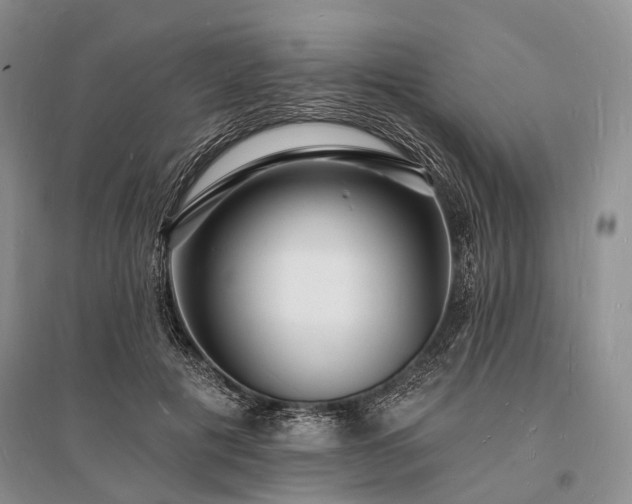 X0000096390601200801241304