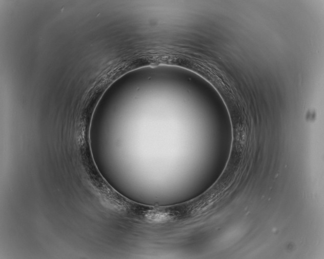 X0000096390602200801241304