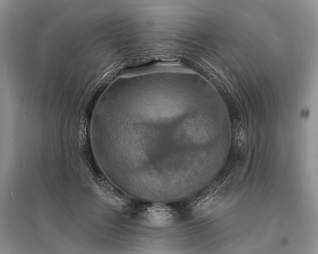 X0000096390603200801241304