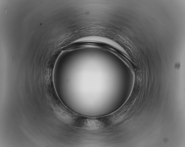 X0000096390605200801241304