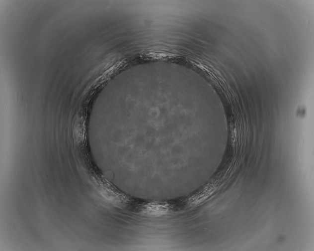 X0000096390606200801241304