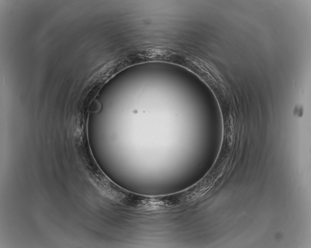 X0000096390607200801241304