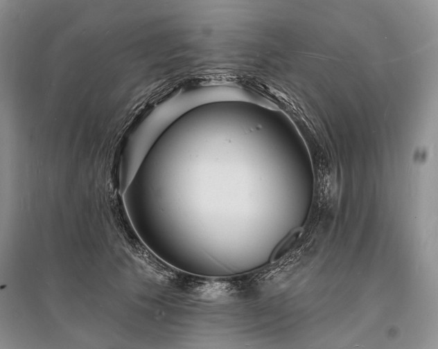 X0000096390609200801241304