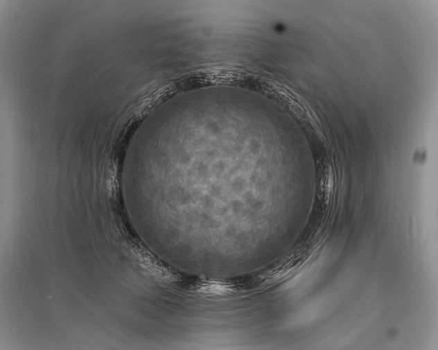 X0000096390610200801241304