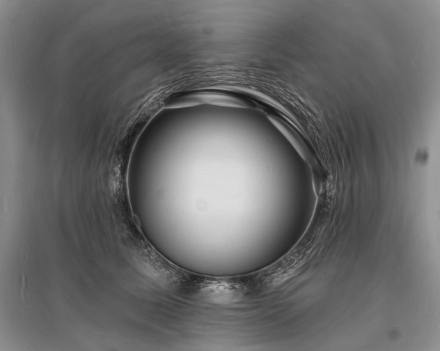 X0000096390611200801241304