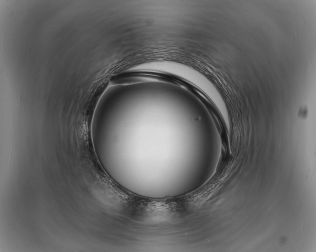 X0000096390613200801241303