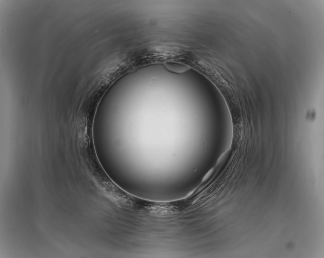 X0000096390615200801241303