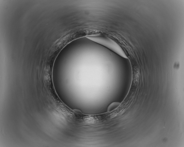 X0000096390616200801241303