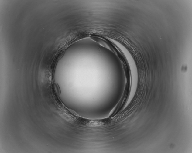 X0000096390617200801241303