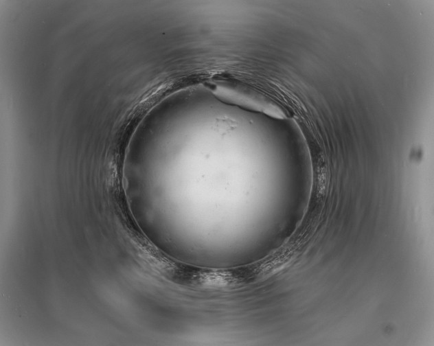 X0000096390618200801241303