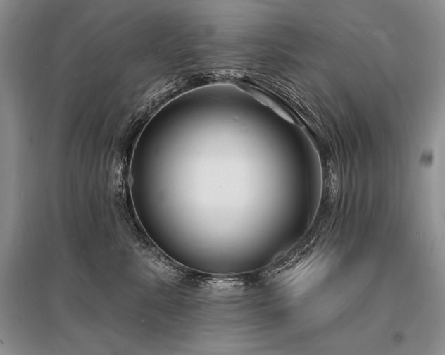 X0000096390619200801241303