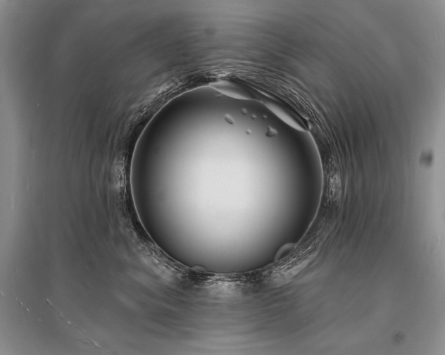 X0000096390620200801241303