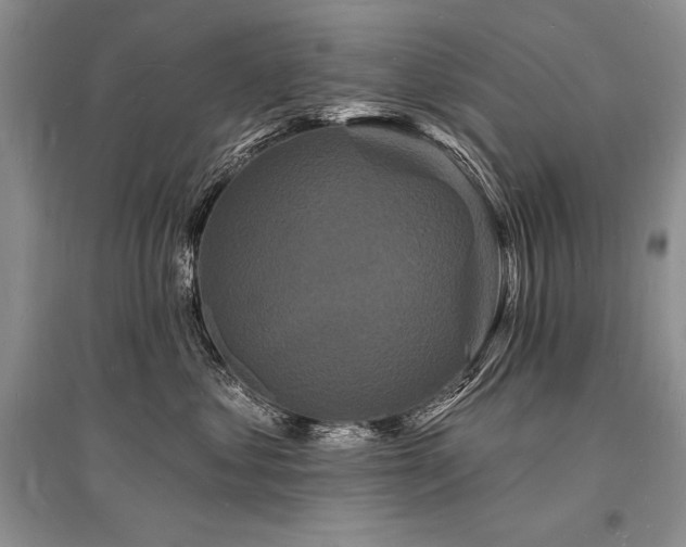 X0000096390621200801241303