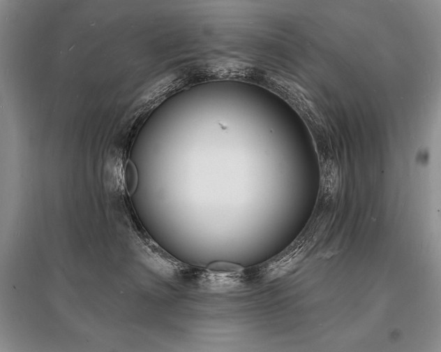 X0000096390622200801241303