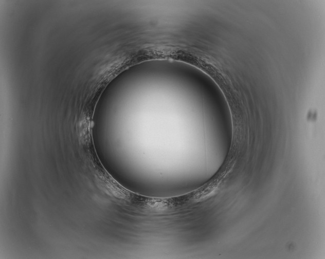 X0000096390624200801241303