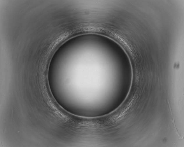 X0000096390625200801241303