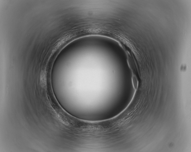 X0000096390626200801241303