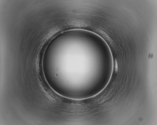 X0000096390627200801241303