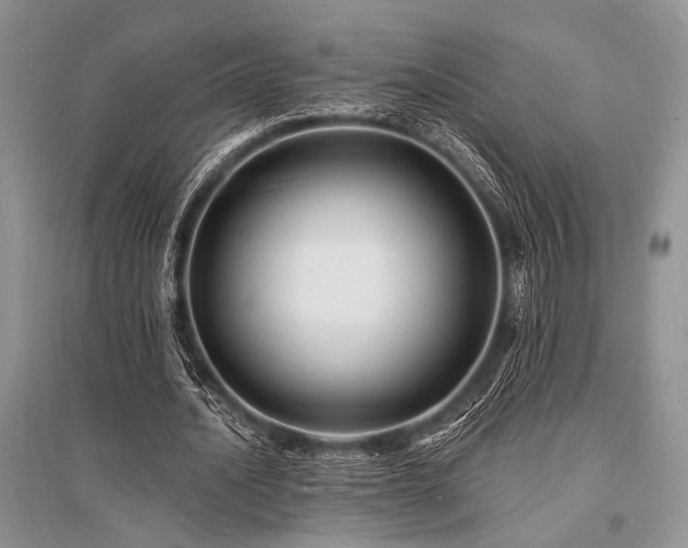 X0000096390628200801241303