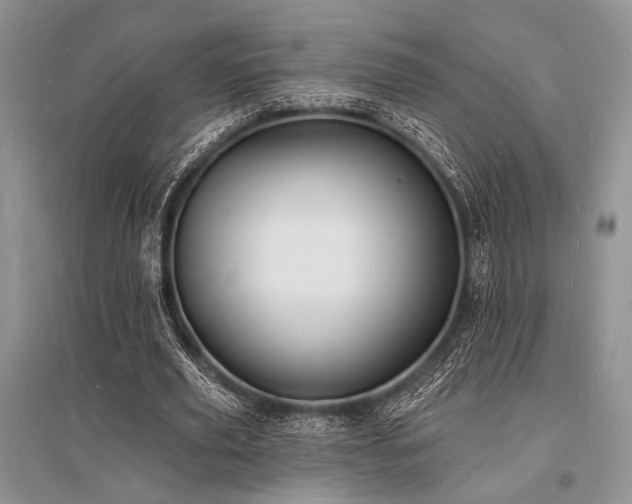 X0000096390629200801241303