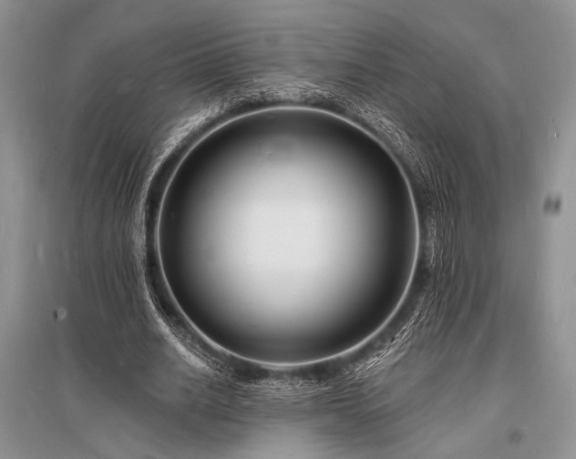 X0000096390630200801241303