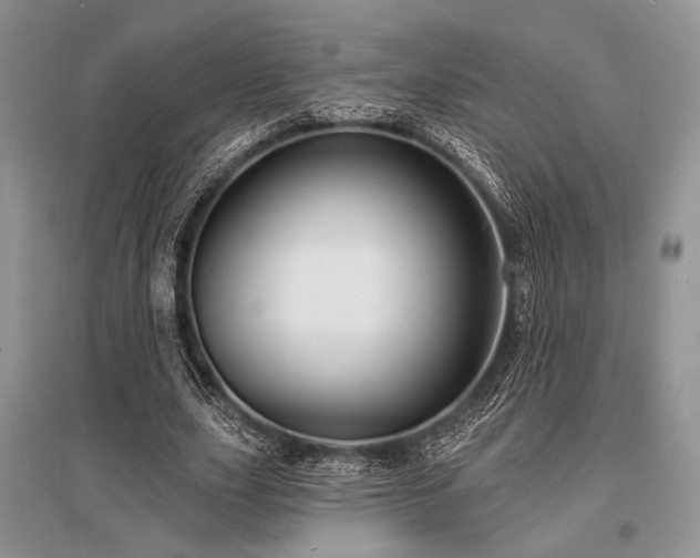 X0000096390631200801241303