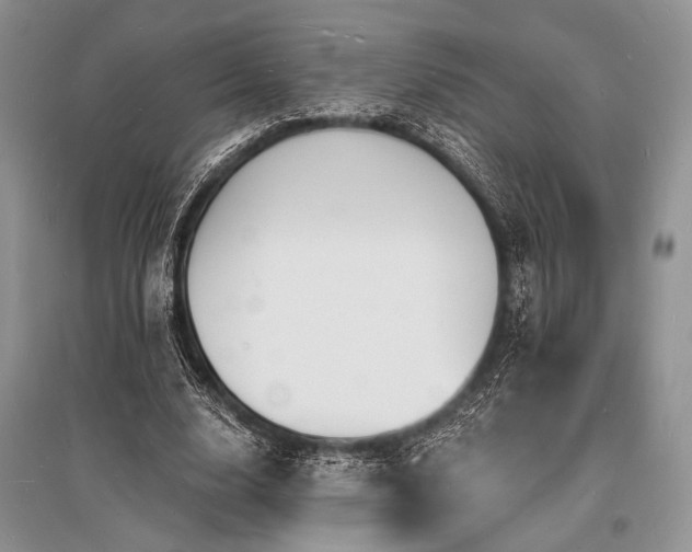 X0000096390632200801241303