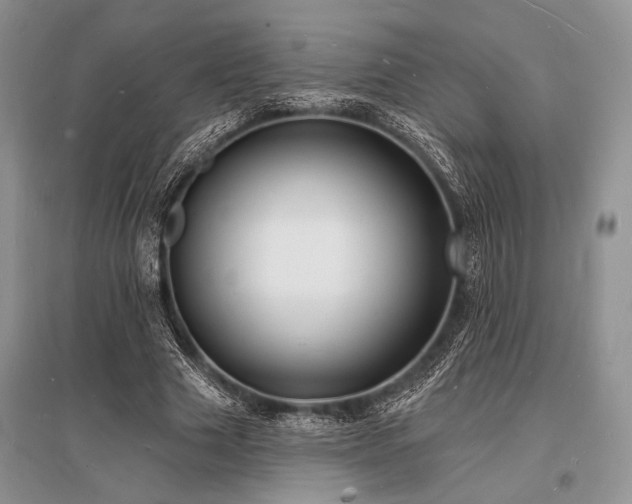 X0000096390633200801241303
