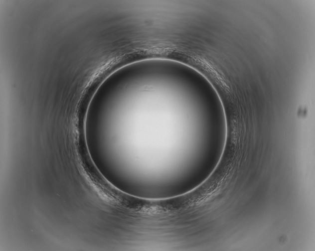X0000096390634200801241303