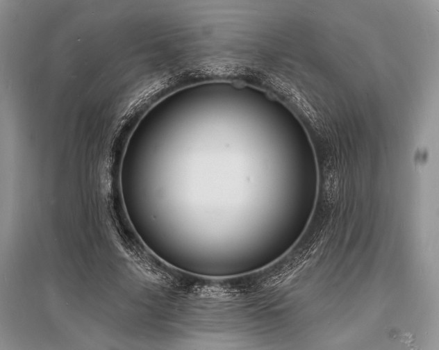 X0000096390635200801241303